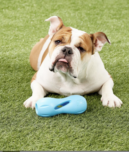 cute dog toys